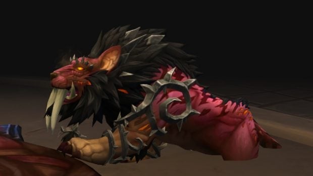 The Ultimate Guide To Collecting New Druid Shapeshift Forms In WoW