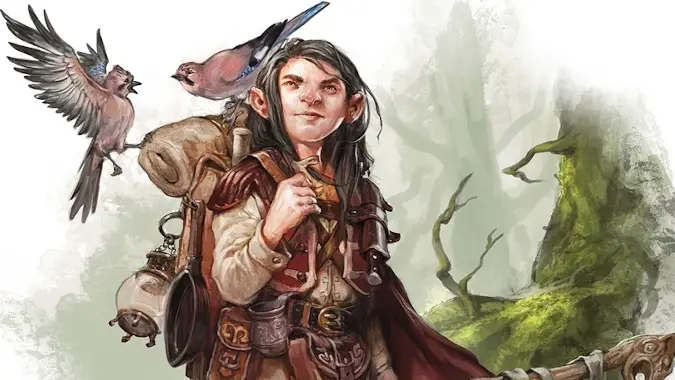 One D&D playtest material completely reshapes the Druid