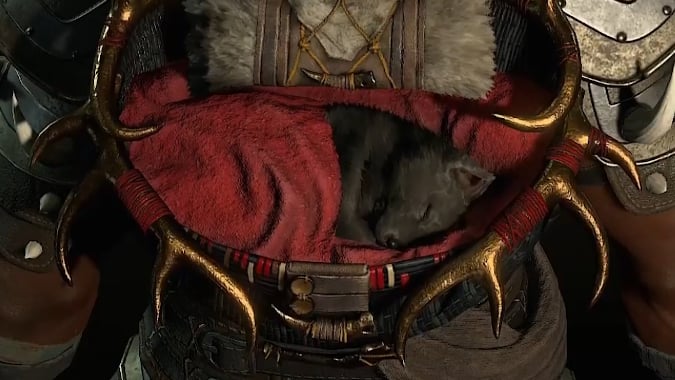 While away your Diablo 4 beta login queue with a napping wolf pup