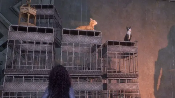 Dragon Age The Veilguard Cats in Minrathous