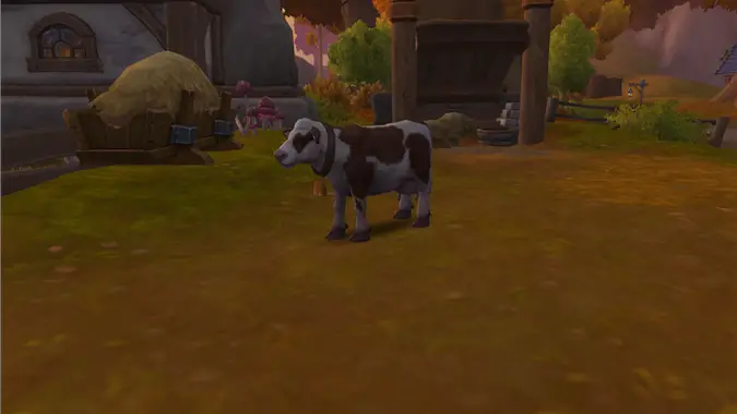 Cow in World of Warcraft Founder's Point