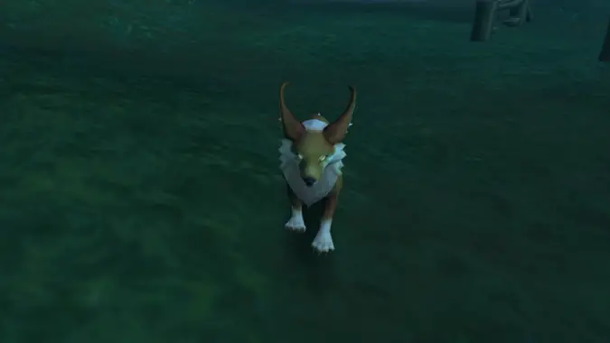 Fox in World of Warcraft Founder's Point