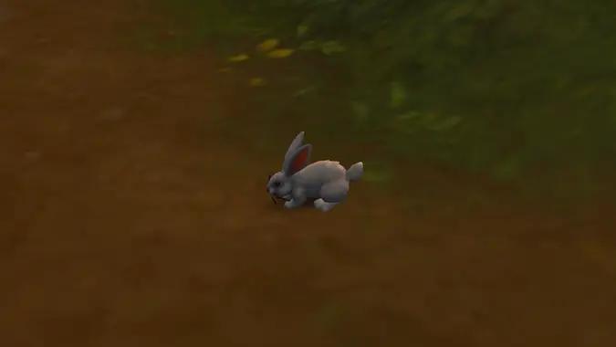 Hare in World of Warcraft Founder's Point