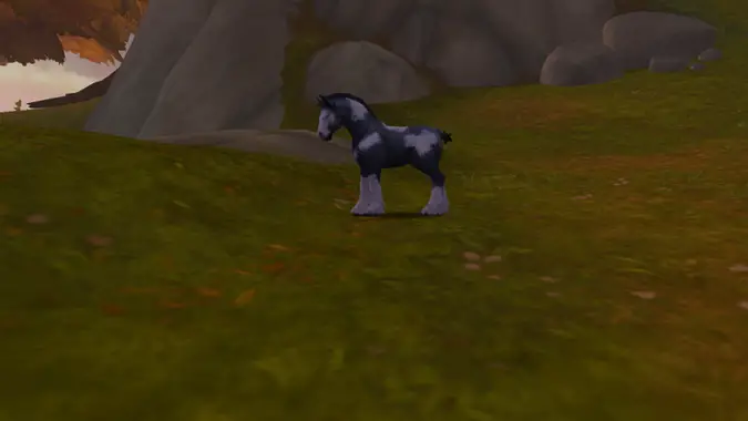 Horse in World of Warcraft Founder's Point