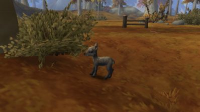 Fawn in World of Warcraft Razorwind Shores